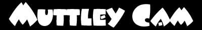 Muttley Cam A Dog's View