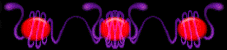 The Deoxyribonucleic Hyperdimension