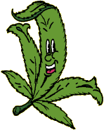 What If God Smoked Cannabis?