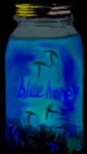 Blue Honey