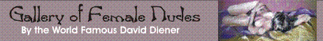 David Diener