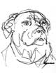 Muttley Dog
