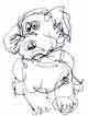 Dog Sketch