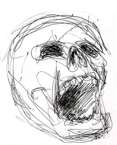 Pen and ink drawing of a human skull.