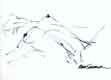 Nude Drawing