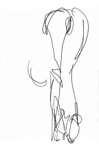 Pen and ink drawing Rear View.